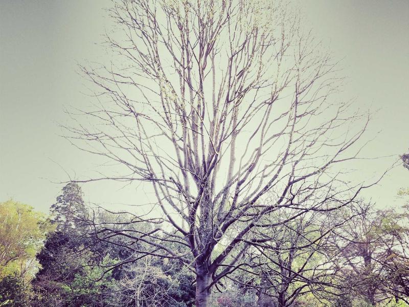 X账号专业养号<br>新号老号防风控稳定权重维护
